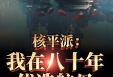 小说《核平派：我在八十年代造航母》在线章节阅读-书格格