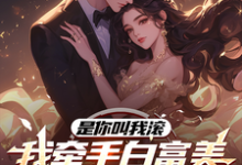 是你叫我滚,我牵手白富美你哭啥完整版小说,是你叫我滚,我牵手白富美你哭啥最新章节-书格格