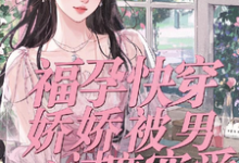 《福孕快穿：娇娇被男主过度宠爱》小说章节列表免费试读，林音小说在线阅读-书格格