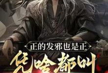 完整版的正的发邪也是正,凭啥都叫我魔头小说在哪里可以免费读到?-书格格
