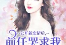楚枫小说免费阅读完整版-书格格