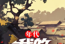 小说《年代：我的1978》完整版章节免费阅读-书格格