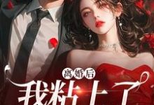 免费看离婚后，我粘上了那位大佬小说的网站有哪些？-书格格
