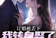 《订婚被丢下，我转身娶了娇娇千金》小说江辰章节章节免费在线阅读-书格格