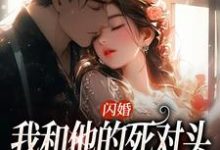 闪婚：我和他的死对头绑定CP小说的免费阅读版本在哪里可以找到？-书格格