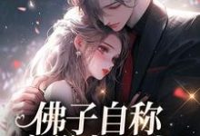 佛子自称空巢老男人?我真的笑了小说无弹窗阅读的网站推荐-书格格