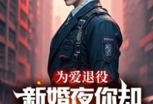 《为爱退役,新婚夜你却奔向白月光》完整版小说免费阅读-书格格