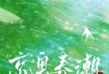 完整版小说《京澳春潮》免费阅读-书格格