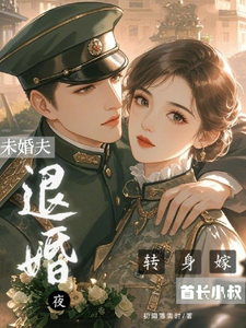 小说《退婚夜，转身嫁未婚夫首长小叔》在线章节阅读