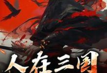 人在三国，一统江山刘锦小说完结版章节在线阅读-书格格