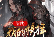 综武:我的榜样叫曹操楚流风王语嫣小说完结版章节在线阅读-书格格