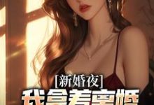 小说《新婚夜，我拿着离婚协议黯然离场》章节免费阅读-书格格