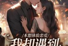 本想体验恋爱,我却遇到坑爹大佬!免费阅读,本想体验恋爱,我却遇到坑爹大佬!章节目录-书格格