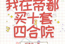 小说《玄学鉴宝，我在帝都买十套四合院》完整版在线章节免费阅读-书格格