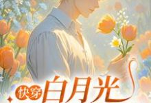 已完结小说《快穿：白月光爆改黑莲花》章节在线阅读-书格格