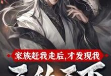 完结版《家族赶我走后，才发现我无敌天下》章节目录在线阅读-书格格