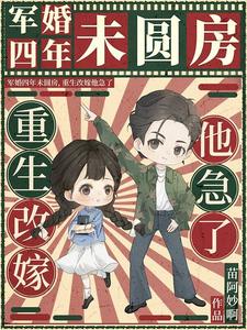 军婚四年未圆房，重生改嫁他急了免费阅读，军婚四年未圆房，重生改嫁他急了沈璐
