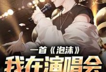 一首《泡沫》，我在演唱会红过歌星刘牧小说免费阅读-书格格