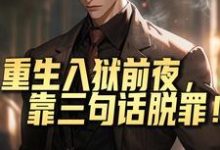 陆远小说在线章节免费阅读(重生入狱前夜,靠三句话脱罪!无弹窗无删减)-书格格