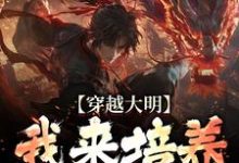 穿越大明:我来培养一代帝王任以虚,穿越大明:我来培养一代帝王章节在线阅读-书格格