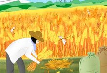 已完结小说《成全白月光后，父子跪求我回家？想得美！》最新章节-书格格