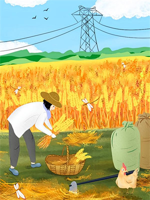 裴霁川林惜雾小说叫什么（终是岁月自难忘免费阅读）