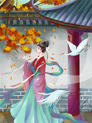 走出围城的女人这本小说怎么样？免费在线阅读试试
