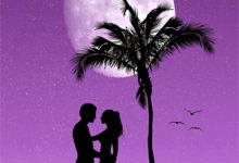 看飞絮吹乱烟雨最新章节,看飞絮吹乱烟雨章节在线阅读-书格格